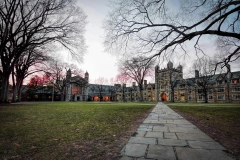 The University of Michigan Law Quad