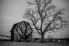Old barn behind old Oak tree in front of new high school stadium in Indiana | Image By Indiana Architectural Photographer Jason Humbracht