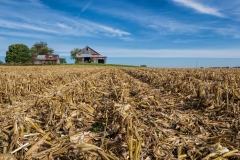 Corn Harvest | Jamestown, Indiana | Image By Indiana Architectural Photographer Jason Humbracht