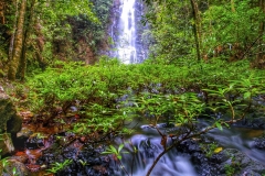 Butterfly Falls