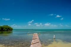 The End of the Island