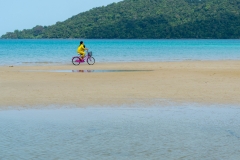 Beach Bike