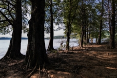 Peninsula Trail | Charles Deam Wilderness Indiana Architectural Photographer Jason Humbracht
