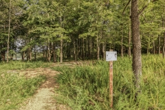Charles Deam Wilderness Area | Hoosier National Forest | Image by Indiana Architectural Photographer Jason Humbracht