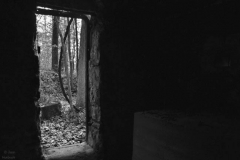 A hidden crypt in the Highland Park Cemetery | Ionia Michigan | Image by Indiana Architectural Photographer Jason Humbracht