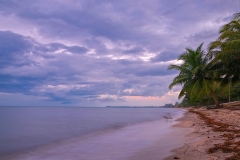 Three bird on the beach | Hopkins, Belize | Image by Indiana Architectural Photographer Jason Humbracht
