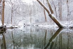Eagle Creek Park | First Snowfall | Image By Indiana Architectural Photographer Jason Humbracht