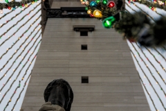 Christmas on Monument Circle | Soldiers & Sailors Monument | Indianapolis, Indiana | Image By Indiana Architectural Photographer Jason Humbracht
