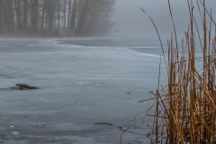 Frozen wintery lake in Cedar Springs, Michigan | Image By Indiana Architectural Photographer Jason Humbracht