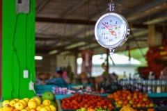 Farmer's Market | San Ignacio, Belize | Image by Indiana Architectural Photographer Jason Humbracht