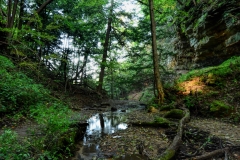 Shades State Park | Waveland, Indiana | Indiana State Park | Image by Indiana Architectural Photographer Jason Humbracht