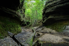 Devil's Punchbowl | Shades State Park | Waveland, Indiana | Indiana State Park | Image by Indiana Architectural Photographer Jason Humbracht