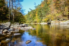 Fall colors in The Smoky Mountains