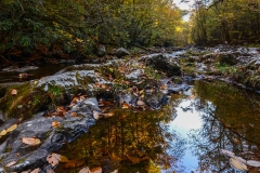 Fall Reflections