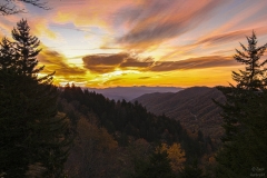 Sunrise Smoky Mountains | Newfound Gap Smoky Mountains Park