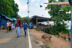 Walking up to Koneswaram Temple