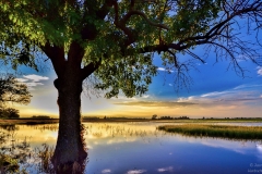 Indiana Sunset | Brownsburg, Indiana | Indiana Landscapes | Image By Indiana Architectural Photographer Jason Humbracht