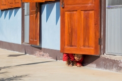 Peek-A-Boo